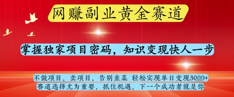 网创副业黄全赛道，掌握独家项目密码，知识变现快人一步，告别韭菜轻松实现单日变现1k+【揭秘】-一起创业