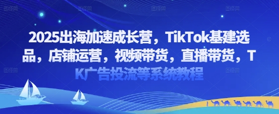2025出海加速成长营，TikTok基建选品，店铺运营，视频带货，直播带货，TK广告投流等系统教程-一起创业