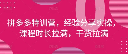 拼多多特训营，经验分享实操，课程时长拉满，干货拉满(更新25年4月)-一起创业