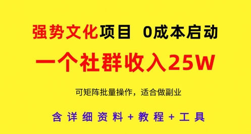 强势文化项目，一个社群收入25个W，0成本启动，可矩阵批量操作，原创详细实操教程-一起创业