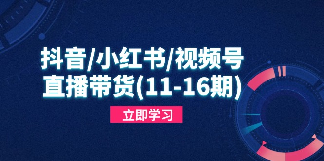 抖音/小红书/视频号/直播带货(11-16期-一起创业