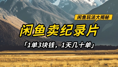 闲鱼卖纪录片1单3块钱，1天几十单，项目稳定有潜力-一起创业