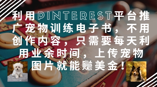 利用Pinterest平台推广宠物训练电子书，不用创作内容，只需要每天利用业余时间，上传宠物图片就能挣美金!-一起创业