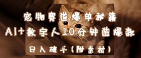 宠物赛道爆单秘籍：AI+数字人10分钟造爆款，日入1k-一起创业