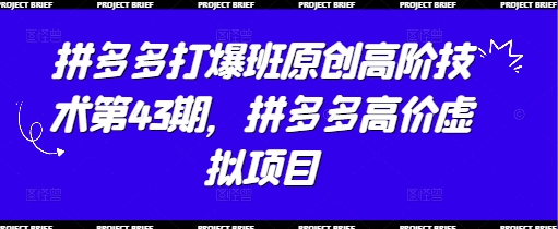 拼多多打爆班原创高阶技术第43期，拼多多高价虚拟项目-一起创业