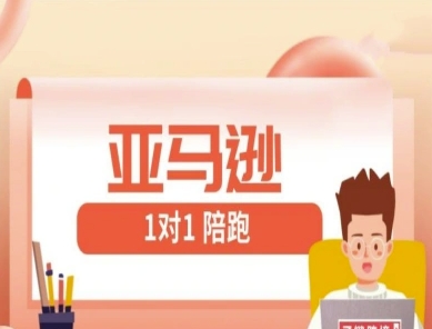 亚马逊1对1陪跑课(FBA/FBM精铺)跨境亚马逊教程-一起创业