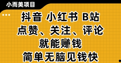 小而美的项目，抖音小红书B站视频点赞、关注、评论就能挣钱，简单无脑立见收益，妥妥的零撸项目【揭秘】-一起创业