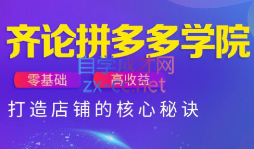 齐论拼多多vip课程-一起创业