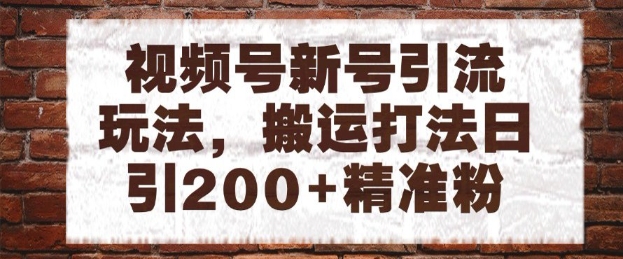 视频号新号引流玩法，搬运打法日引200+精准粉，可矩阵放大【揭秘】-一起创业