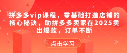 拼多多vip课程，零基础打造店铺的核心秘诀，助拼多多卖家在2025卖出爆款，订单不断-一起创业