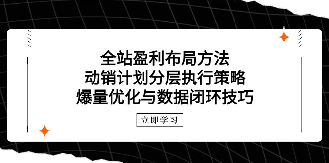 全站盈利布局方法：动销计划分层执行策略，爆量优化与数据闭环技巧-一起创业