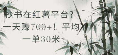 抄书在小红薯平台？平均一单30米，一天收益几张！-一起创业