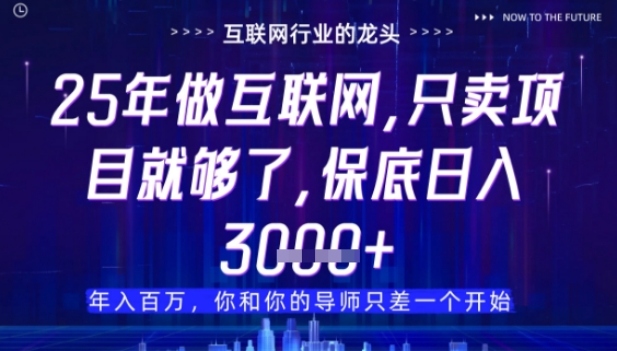什么！25年你还在找项目做？风口早就变了，卖项目才是稳挣不赔【揭秘】-一起创业