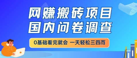 网创搬砖项目，国内问卷调查，小白轻松上手，一天三四张的也不难，干就完了【揭秘】-一起创业