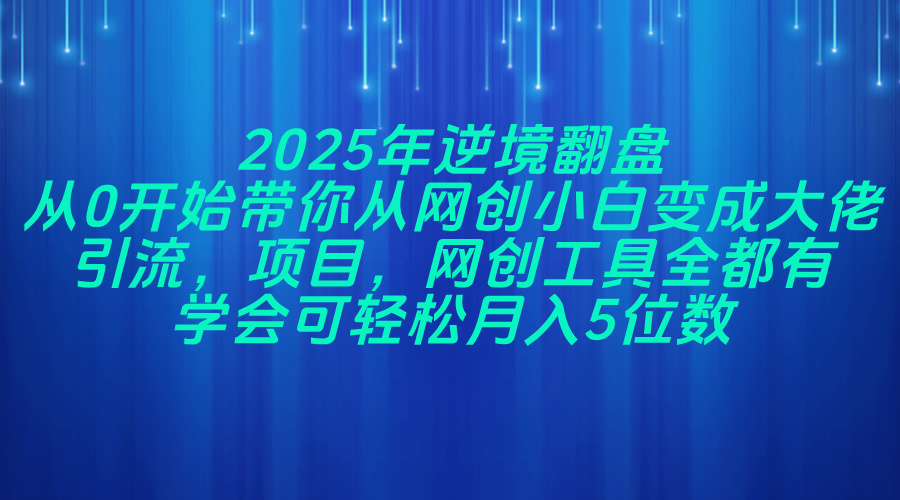 2025年逆境翻盘，从0开始带你从网创小白变成大佬，引流，项目，网创工…-一起创业