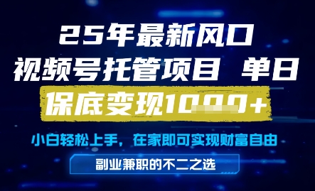 25年最新风口，视频号托管项目，单日保底变现1k+，手把手教学【揭秘】-一起创业