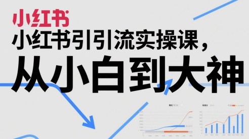 小红书引流实操课，从小白到大神-一起创业