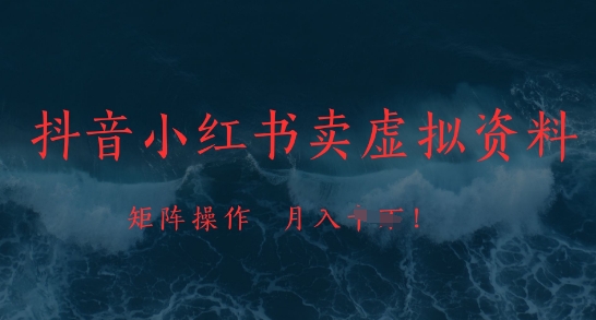 抖音小红书卖虚拟资料，市场需求一直存在，矩阵操作，月入1w+-一起创业