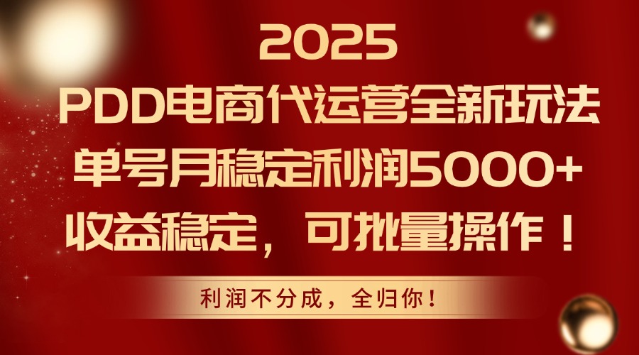 2025PDD电商代运营全新玩法，单号月稳定利润5000+，收益稳定，可批量操作-一起创业