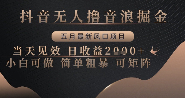 抖音无人撸音浪掘金，五月最新风口项目，当天见效，日收益多张，小白可做简单粗暴可矩阵【揭秘】-一起创业
