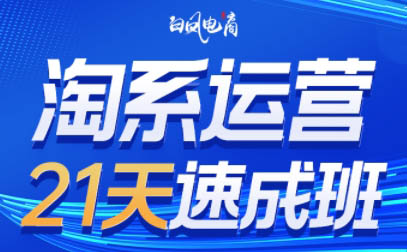白凤电商·淘系运营21天速成班(更新5月)-一起创业