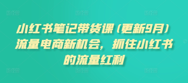 小红书笔记带货课(更新25年5月)流量电商新机会，抓住小红书的流量红利-一起创业