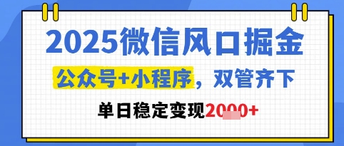 2025微信风口掘金，公众号+小程序双管齐下，单日稳定变现1k+【揭秘】-一起创业