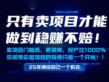 只有卖项目才能做到稳挣不赔，门槛低，更简单，你也可以年入百个W【揭秘】-一起创业