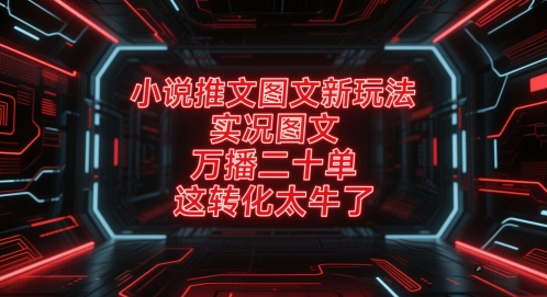 小说推文图文新玩法，实况图文，万播二十单，这转化太牛了！-一起创业