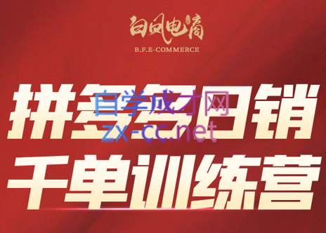 白凤电商·拼多多日销千单训练营(更新4月)-一起创业