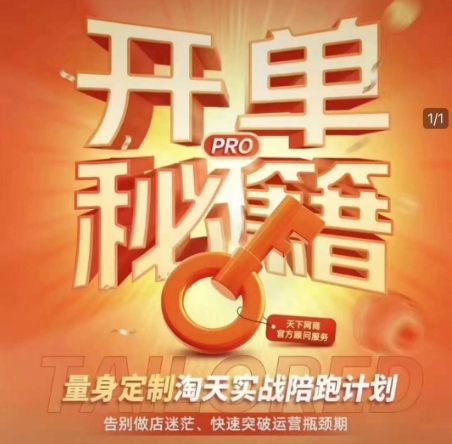 淘宝开单秘籍PRO，量身定制淘天实战陪跑计划，告别做店迷茫、快速突破运营瓶颈期(更新)-一起创业