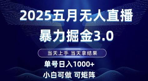 2025五月无人直播暴力掘金3.0，当天上手，当天拿结果，单号日入1k+小白可做可矩阵【揭秘】-一起创业