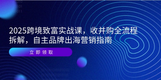 2025跨境致富实战课，收并购全流程拆解，自主品牌出海营销指南-一起创业