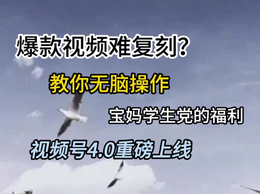视频号4.0重磅上线，爆款视频难复刻？教你无脑操作宝妈学生党的福利【揭秘】-一起创业