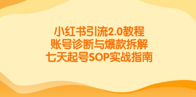 小红书引流2.0教程，账号诊断与爆款拆解，七天起号SOP实战指南-一起创业