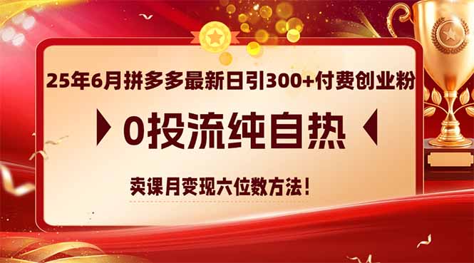 25年6月拼多多最新日引300+付费创业粉，0投流纯自热 卖课月变现六位数方法-一起创业